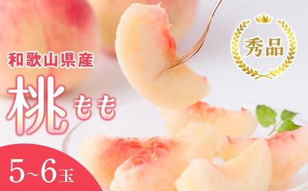 a̎RY  5ʁ`6 1.5kg GimUS35n