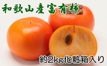 mIEYna̎RY̕xL`2kgiϔji2L`4LTCYj2025N11菇yTM59z