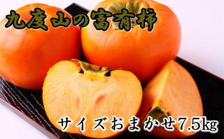 ≪柿の名産地≫九度山の富有柿約7.5kgサイズおまかせ★2025年11月上旬頃より順次発送[TM2]