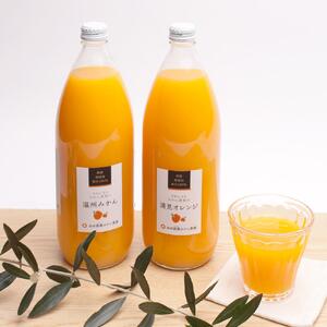 YELc̃W[Xl720ml×2{E2mނ܂nmIKE238n