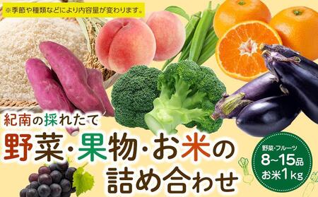 紀南の採れたて新鮮野菜・フルーツ・お米詰め合わせセット(8〜15品目詰め合わせ)