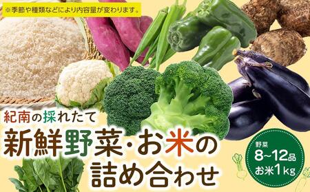 紀南の採れたて新鮮野菜・お米詰め合わせセット(8〜12品目詰め合わせ)
