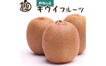 [11月より発送]厳選キウイフルーツ 2.5kg+250g(傷み補償分)[扁平果]※北海道・沖縄・離島への配送不可 / くだもの 果物 フルーツ キウイ ビタミン 人気 [ikd159C]