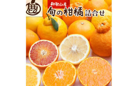 [1月より発送]厳選 柑橘詰合せ 5kg+250g(傷み補償分)[有田の春みかん詰め合わせ・フルーツ詰め合せ・オレンジつめあわせ][光センサー選別]/ みかん 果物 フルーツ 柑橘 おすすめ 和歌山[ikd160B]