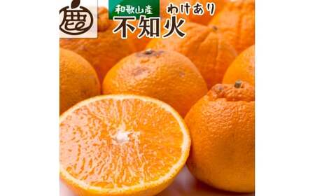 [先行予約]家庭用不知火5kg+250g(傷み補償分)[デコポンと同品種・人気の春みかん][訳あり][2月より発送] ※北海道・沖縄・離島への配送不可 フルーツ 果物 くだもの 柑橘 和歌山[ikd163C]
