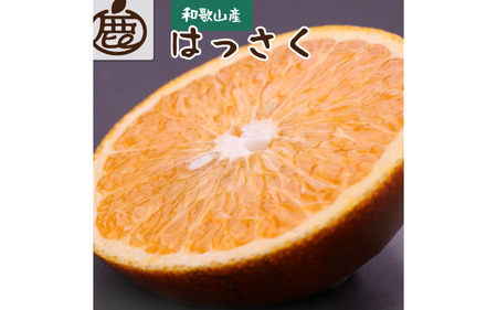 [先行予約]家庭用はっさく5kg+250g(傷み補償分)[八朔みかん][1月より発送] ※北海道・沖縄・離島への配送不可[ikd140A]