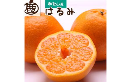 [先行予約]厳選はるみ1kg+250g(傷み補償分)[デコポンの姉妹品種・新食感春みかん][光センサー選別][2月より発送] ※北海道・沖縄・離島への配送不可 フルーツ 果物 くだもの 柑橘[ikd141B]
