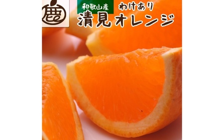 ＜2月より発送＞家庭用 清見オレンジ1kg+30g（傷み補償分）【光センサー食頃出荷】【樹上完熟きよみオレンジ・清見タンゴール・清美】【わけあり・訳あり】 ※北海道・沖縄・離島への配送不可【ikd164A】