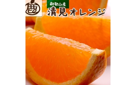 [2月より発送]厳選 清見オレンジ2.5kg+250g(傷み補償分)[光センサー食頃出荷][樹上完熟きよみオレンジ・清見タンゴール・清美]/ みかん くだもの 果物 オレンジ 和歌山 フルーツ きよみオレンジ[ikd165B]