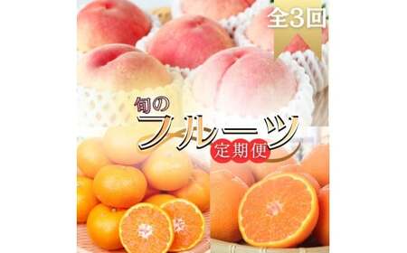 [全3回]旬のフルーツ定期便 [田村みかん 紀州デコ(不知火) 桃] 和歌山の旬をお届け / みかん ミカン 温州みかん 有田みかん 不知火 デコポン 桃 もも モモ 柑橘 フルーツ 果物 くだもの 旬 人気 甘い 定期便[tkb313]