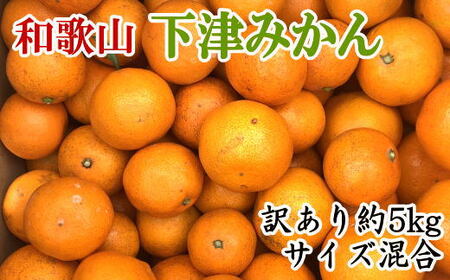 [訳あり]和歌山下津みかん約5kgご家庭用向け(サイズ混合) ※2024年11月中旬〜2025年1月中旬頃順次発送予定(お届け日指定不可)[tec949]