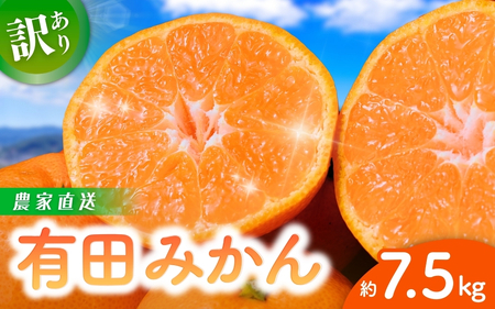 [訳あり]農家直送 有田みかん 約7.5kg ご家庭用 サイズ混合 ※2025年11月中旬2026年1月中旬までに順次発送予定(お届け日指定不可)※北海道・沖縄・離島への配送不可訳あり 温州みかん 有機質肥料100% [nuk157C]