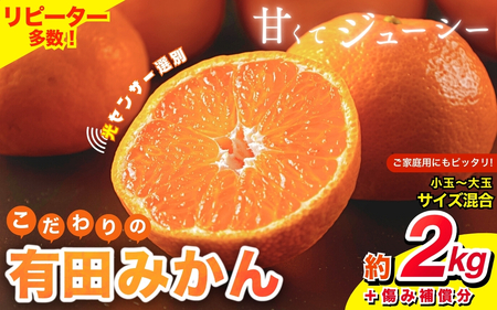 [2024年12月発送予約分]＼光センサー選別/ [農家直送][家庭用]こだわりの有田みかん 約2kg+250g(傷み補償分) 先行予約 有機質肥料100% サイズ混合※北海道・沖縄・離島配送不可 和歌山 有田みかん ミカン 柑橘 果物 フルーツ [nuk159-2B]