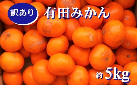 紀州有田みかん 約5kg訳ありキズ御家庭用サイズ混合※2024年12月上旬頃より順次発送予定 ※北海道・沖縄・離島配送不可[sml130]