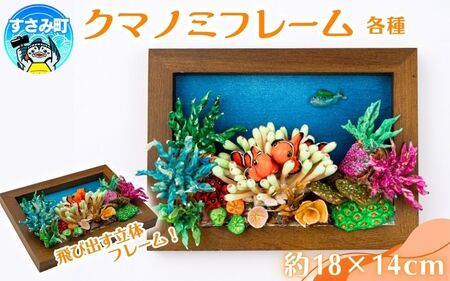 クマノミ各種 フレーム / 魚 さかな フィッシュ 釣り 海 うみ クマノミ 海水魚 海の生き物 鍵 かぎ 家 車 自転車 かわいい お土産 雑貨 思い出 プレゼント ギフト すさみ [mac007A]