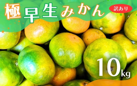 [2025年秋頃発送予約分][訳あり]こだわりの極早生みかん 約10kg ※2025年10月上旬〜11月上旬に順次発送予定(お届け日指定不可) サイズ混合 有田産 / みかん ミカン 有田みかん 和歌山 フルーツ 果実 柑橘 くだもの 果物 予約販売[nuk167A]