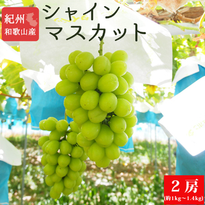 紀州和歌山産シャインマスカット2房(約1kg〜1.4kg) ※2025年8月中旬頃〜2025年9月上旬頃に順次発送予定 / マスカット 種無し フルーツ 果物 くだもの シャインマスカット 葡萄 ブドウ[uot813]