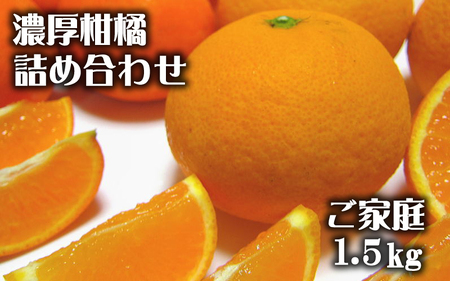 [先行予約]有田育ちの濃厚柑橘詰め合わせセット(ご家庭用) 約1.5kg[2025年1月中旬〜4月下旬順次発送予定][ard209]