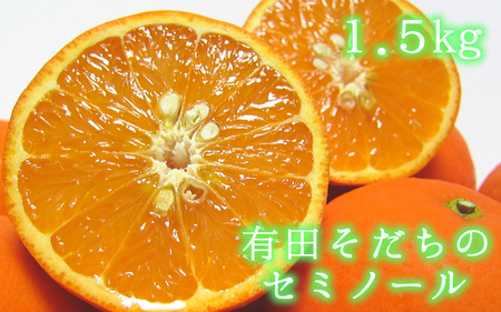 有田育ちの爽快セミノールオレンジ(ご家庭用) 約1.5kg ※2025年4月より順次発送予定[ard210]