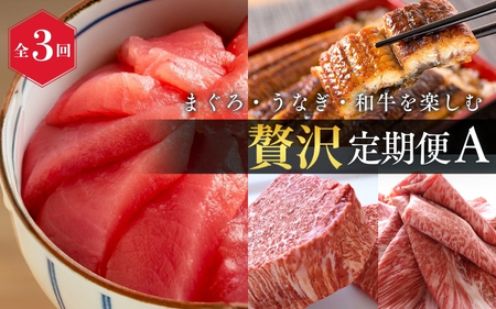 [全3回]まぐろ・うなぎ・和牛を楽しむ贅沢定期便A / 鮪 マグロ 刺身 鰻 ウナギ 蒲焼 熊野牛 肉 牛肉 和牛 黒毛和牛 ヒレ ロース シャトーブリアン ステーキ スライス[tkb386]