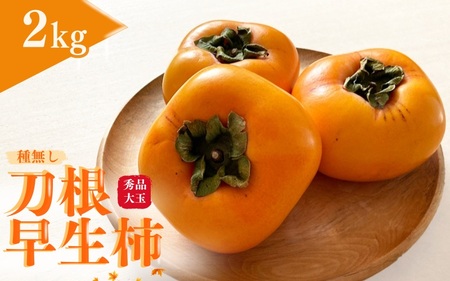 ys\z햳` ` Gi 2kgi6j 2025N9{`10{ɏ\i͂wsj/ `  햳 Gi  t[c ʕ ́ykiy002z