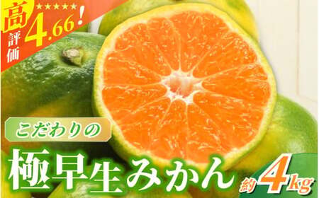 [2025年9月下旬~発送]極早生みかん[農家直送]こだわりの極早生みかん 約4kg[数量限定] 有機質肥料100% サイズ混合 ※2025年9月下旬より順次発送予定(お届け日指定不可) / ミカン 有田みかん 温州みかん 柑橘 有田 和歌山 産地直送 くだもの 果物 フルーツ 柑橘類 和歌山 すさみ町[nuk171]