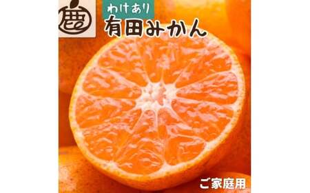 [先行予約]家庭用 有田みかん サイズ混合(2S〜2L) 1kg+250g ※11月より発送(完熟)[わけあり・訳あり][光センサー選果]※北海道・沖縄・離島配送不可 / みかん ミカン 和歌山 柑橘 フルーツ 有田 有田みかん [ikd210]