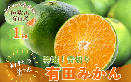 [先行予約][2025年9月発送]特撰 青切り有田みかん 1kg ※北海道・沖縄・離島配送不可 / みかん ミカン 果物 フルーツ 柑橘 和歌山 有田みかん 青切 極早生 早生みかん[ard232]