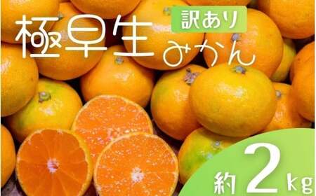 [訳あり]手選別 極早生みかん 約2kg 和歌山県産 2S~2Lサイズ混合 ※2025年10月上旬〜下旬頃に順次発送[mrmt003]