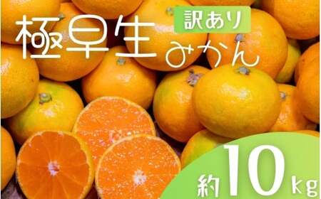 y󂠂zI ɑ݂ 10kg a̎RY 2S~2LTCY 2025N10{`{ɏymrmt005z