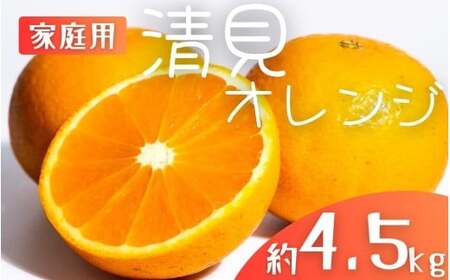 ys\zyƒpz X{_̎I IW 4.5kg a̎RY TCY 2026N2{`5{ /   k ƒp Ԍ Rǒ ʕ t[c a