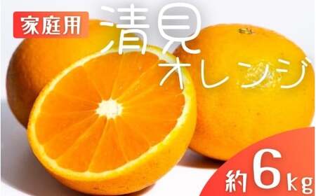 ys\zyƒpz X{_̎I IW 6kg a̎RY TCY 2026N2{`5{ /   k ƒp Ԍ Rǒ ʕ t[c a