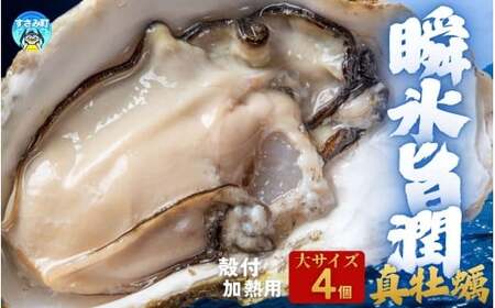 Y }Ⓚy Mp TCY 4 / y kt CN  JL Ⓚ ymix005z