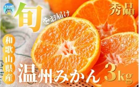 [a̎RY] {͂I G߂́u B ݂ v 3kg Gi (ɑEEEӈ)yS~2LTCY܂zy2025N10{`2026N2{܂łɏzD_/ ݂ 