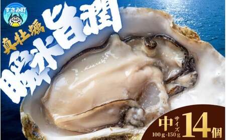 Y }Ⓚy Mp TCY 7 / y kt CN  JL Ⓚ ymix004z