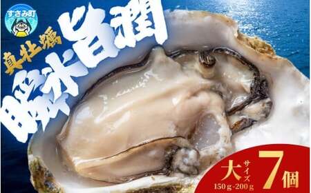 Y }Ⓚy Mp TCY 7 / y kt CN  JL Ⓚ ymix006z