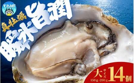 Y }Ⓚy Mp TCY 14 / y kt CN  JL Ⓚ ymix008z