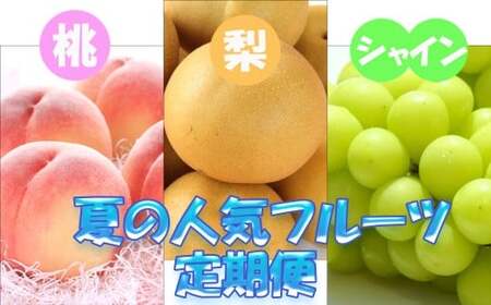 定期便全3回 [7月・8月・9月発送] 和歌山の夏の人気フルーツをお届け(桃・梨・シャイン)[tkb429]