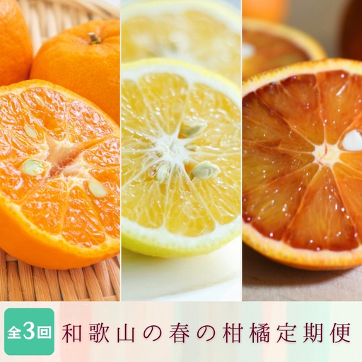 定期便全3回 [2月・3月・4月発送] 和歌山の春の柑橘 (ポンカン・はるか・ブラッドオレンジ)秀品[tkb452]