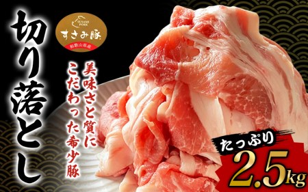 【希少すさみブランド豚】すさみ豚 切り落とし 2.5㎏ (ウデ・モモ切り落とし500g×5パック)/貴重 ブランド豚 小分け スライス お得 大容量 万能 炒め物 焼肉 しゃぶしゃぶ 生姜焼き 冷しゃぶ 冷凍 すさみ町 【ibu116】