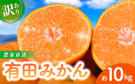 [訳あり]農家直送 有田みかん 約10kg ご家庭用 サイズ混合 ※2025年11月中旬から2026年1月中旬までに順次発送予定※北海道・沖縄・離島への配送不可 みかん ミカン 果物 フルーツ 和歌山 オレンジ 有田ミカン[nuk138E]