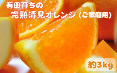 [2025年3月上旬〜発送]有田育ちの完熟清見オレンジ(ご家庭用) 約3kg※北海道・沖縄・離島配送不可 / オレンジ 果物 くだもの フルーツ 和歌山 有田 有田みかん みかん 清見オレンジ[ard016A]