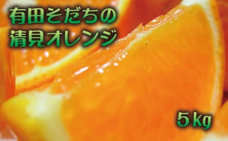 【2025年3月上旬～発送】有田育ちの完熟清見オレンジ(ご家庭用)　約5kg※北海道・沖縄・離島配送不可【ard017A】