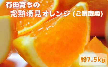 [2025年3月上旬〜発送]有田育ちの完熟清見オレンジ(ご家庭用) 約7.5kg※北海道・沖縄・離島配送不可 / みかん 果物 くだもの フルーツ オレンジ 清見オレンジ 有田 有田みかん[ard018A]