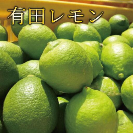 【国産】紀州和歌山 有田レモン 3kg+200g(痛み補償分)※北海道・沖縄・離島配送不可【ard032B】