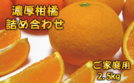 [先行予約]有田育ちの濃厚柑橘詰め合わせセット(ご家庭用) 約2.5kg※1月中旬〜4月下旬順次発送※北海道・沖縄・離島配送不可[ard033A]