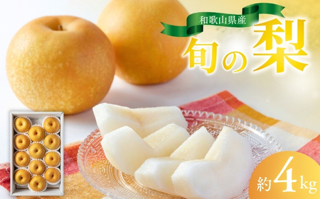 和歌山県産の美味しい梨 約4kg (10〜13玉入り)[8月頃から順次発送予定]/ フルーツ 果物 くだもの 梨 洋梨 和梨[mat102B]