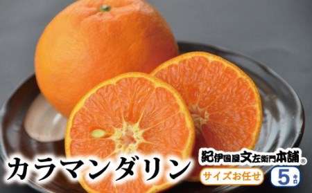 J}_ 5kg/TCY܂@2026N4{`5{ɏ\(͂ws)@Iɍq{܁@ysutb470Az