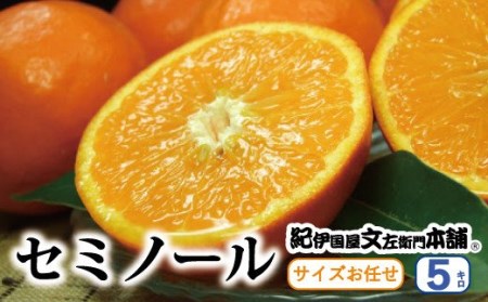 セミノールオレンジ 約5kg/サイズおまかせ ※2025年4月中旬〜5月下旬頃に順次発送予定(お届け日指定不可) 紀伊国屋文左衛門本舗 [sutb481A]