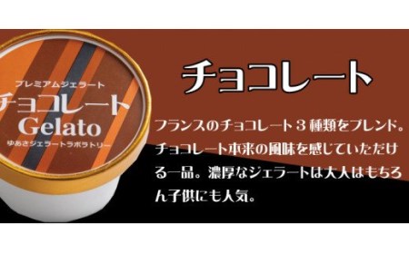 プレミアムジェラート チョコレート12個セット アイスクリームセット 100mlカップ ゆあさジェラートラボラトリー[sutb700-03]